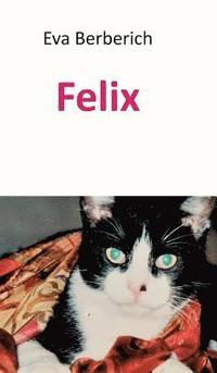 bokomslag Felix