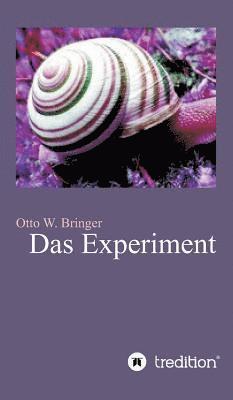 Das Experiment 1