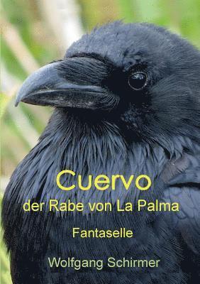 bokomslag Cuervo - der Rabe von La Palma: Fantaselle