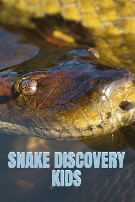Snake Discovery Kids
