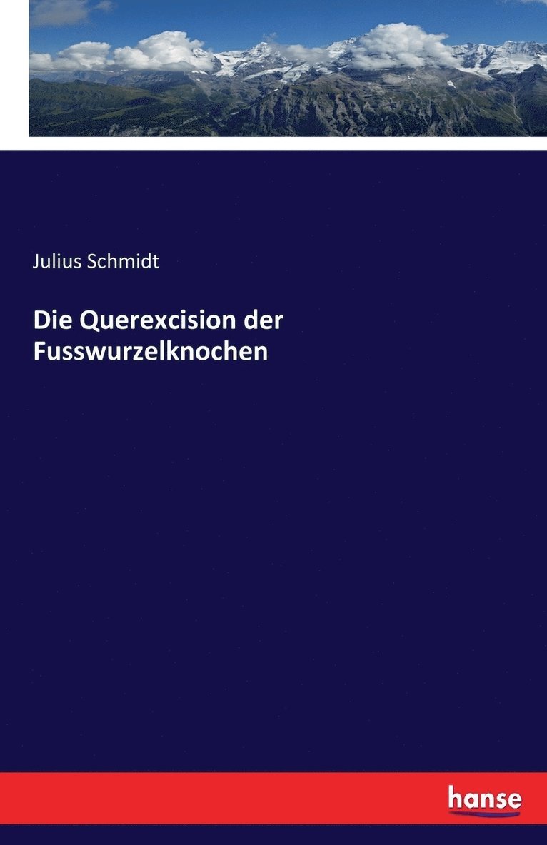 Julius Schmidt - Querexcision der Fusswurzelknochen, Häftad