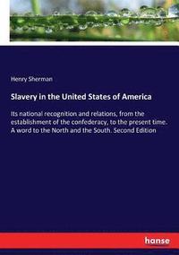 bokomslag Slavery in the United States of America