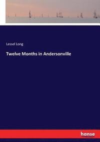bokomslag Twelve Months in Andersonville
