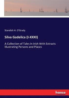 bokomslag Silva Gadelica (I-XXXI)