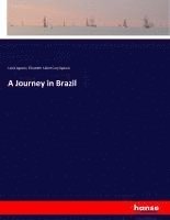 bokomslag Journey in Brazil