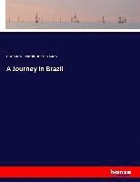 Journey in Brazil