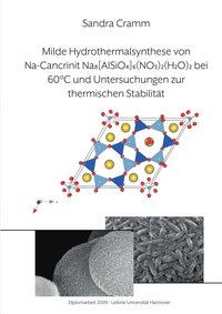 bokomslag Milde Hydrothermalsynthese von Na-Cancrinit Na8[AlSiO4]6(NO3)2(H2O)4 bei 60 C und Untersuchungen zur thermischen Stabilitt