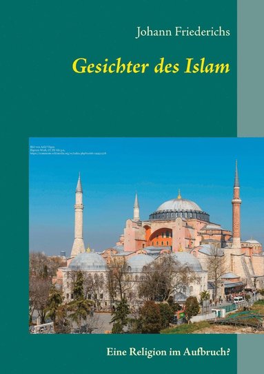 bokomslag Gesichter des Islam