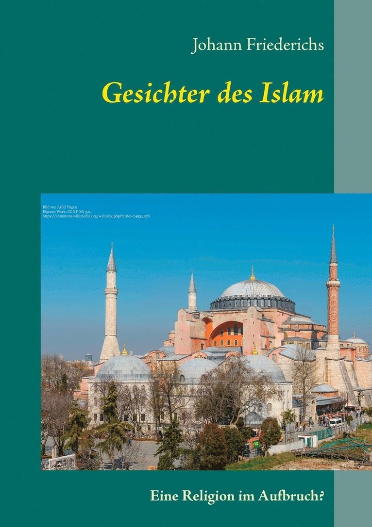 Johann Friederichs - Gesichter des Islam, Häftad