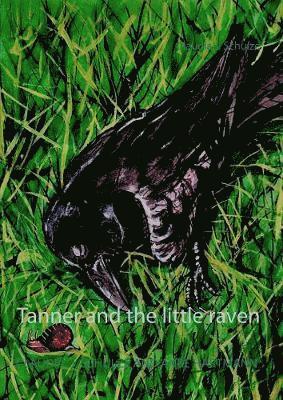 Claudia J Schulze, Claudia J. Schulze - Tanner and the little raven, Häftad