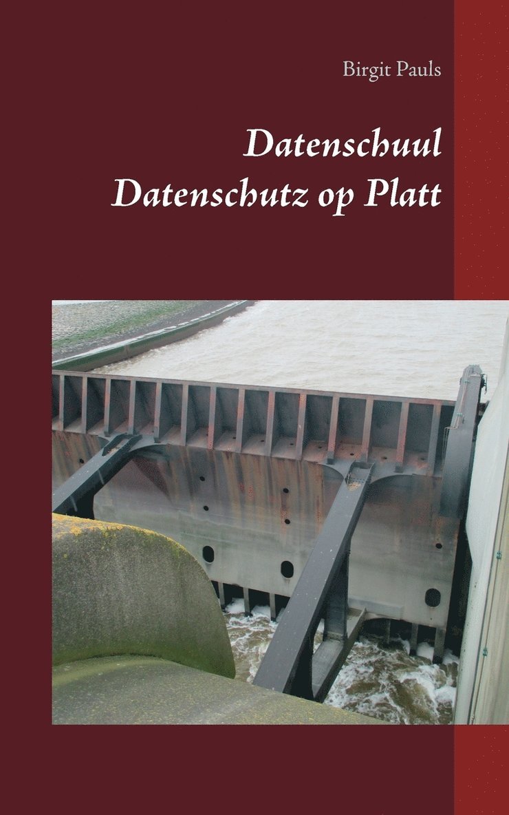 Birgit Pauls - Datenschuul, Häftad