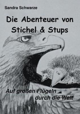 bokomslag Abenteuer von Stichel und Stups 2
