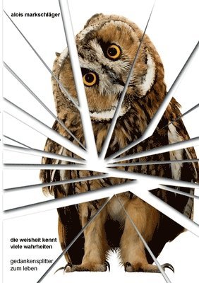 Alois Markschläger - Weisheit kennt viele Wahrheiten, Häftad