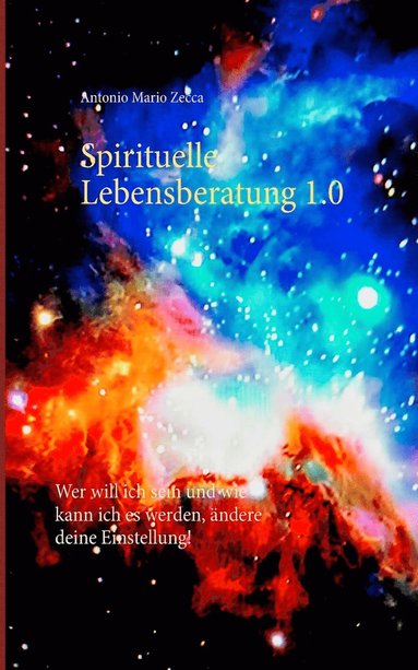 bokomslag Spirituelle Lebensberatung 1.0