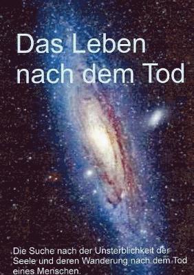 Richard Ludwig, R Ludwig, R. Ludwig - Leben nach dem Tod, Häftad