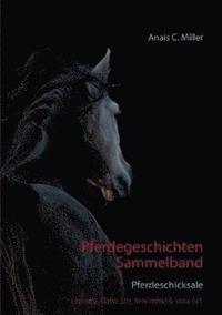 bokomslag Pferdegeschichten Sammelband
