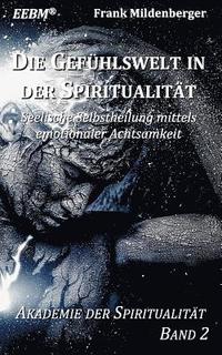 bokomslag Die Gefuhlswelt in der Spiritualitat