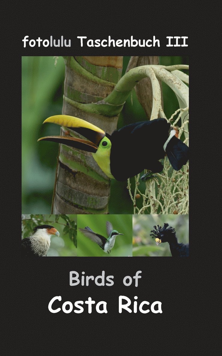 Birds of Costa Rica 1