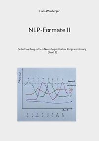 bokomslag NLP-Formate II
