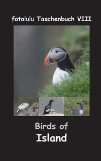 bokomslag Birds of Island