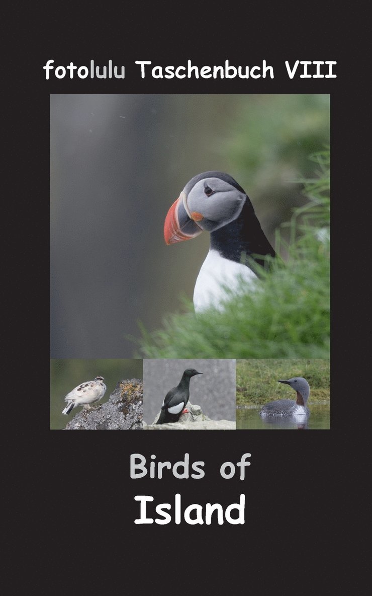 Fotolulu, fotolulu - Birds of Island, Häftad