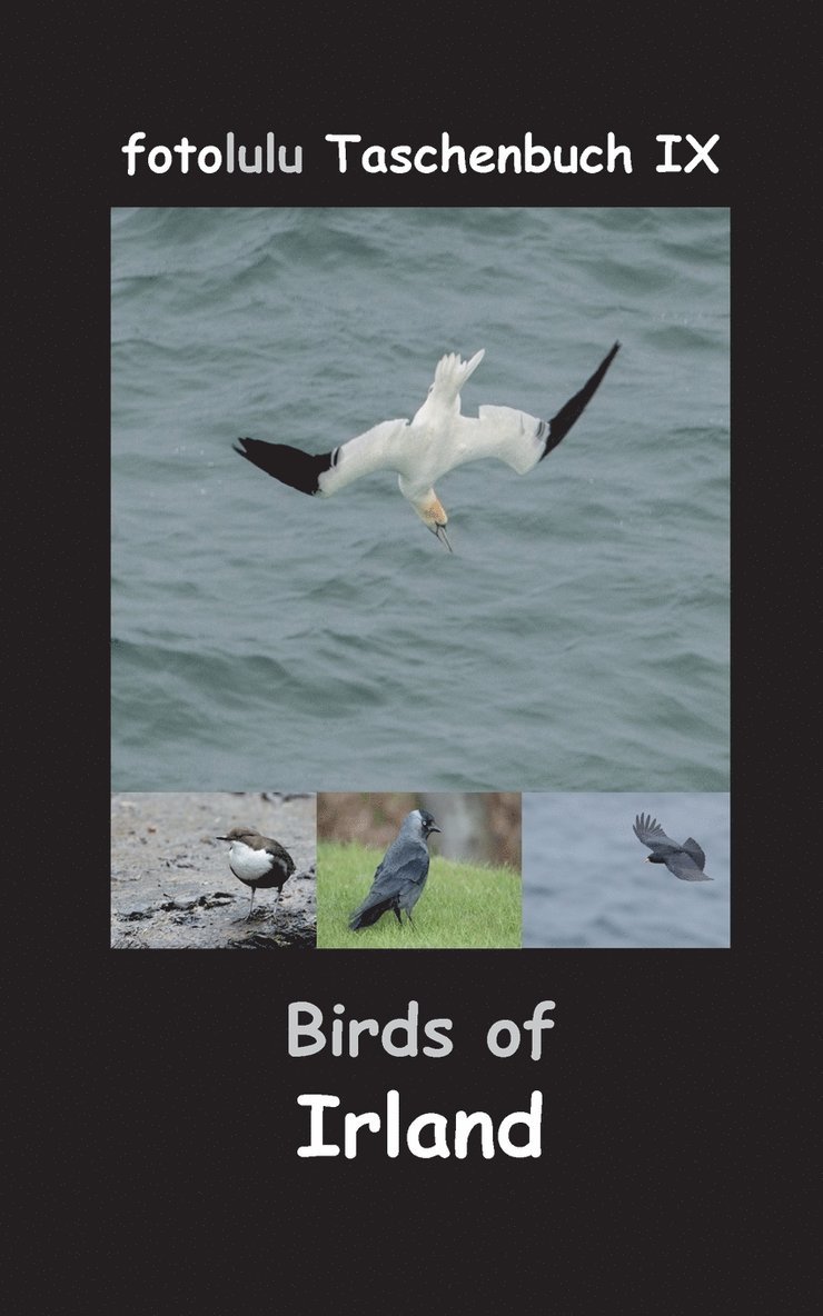 Birds of Irland 1