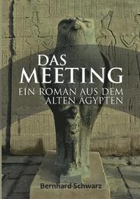 bokomslag Meeting