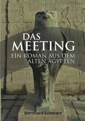 bokomslag Meeting