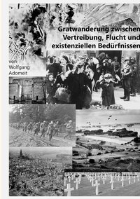 bokomslag Gratwanderung zwischen Vertreibung, Flucht und existentiellen Bedürfnissen
