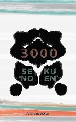 3000 Sekunden