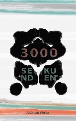 3000 Sekunden 1