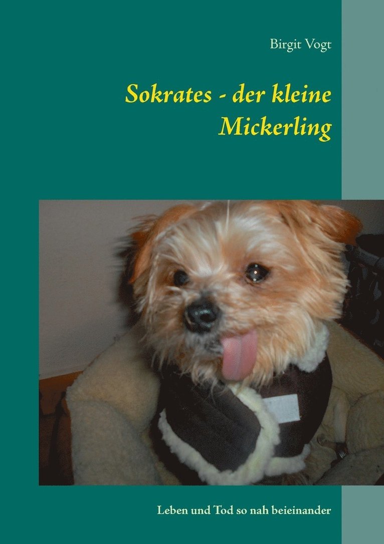 Birgit Vogt - Sokrates - der kleine Mickerling, Häftad