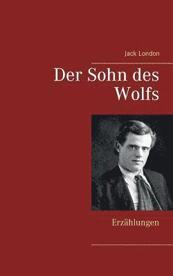 bokomslag Der Sohn des Wolfs