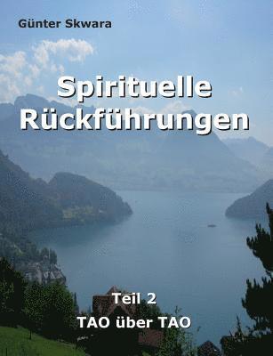 bokomslag Spirituelle Rckfhrungen