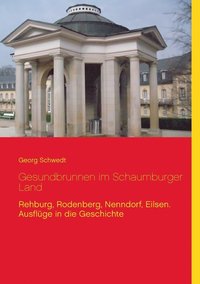 bokomslag Gesundbrunnen im Schaumburger Land