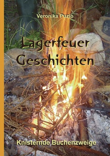 bokomslag Lagerfeuer-Geschichten - Knisternde Buchenzweige