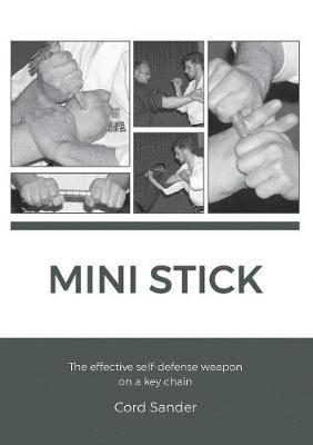 Mini Stick 1