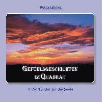 Petra Jähnke - Gefühlsgeschichten im Quadrat, Häftad