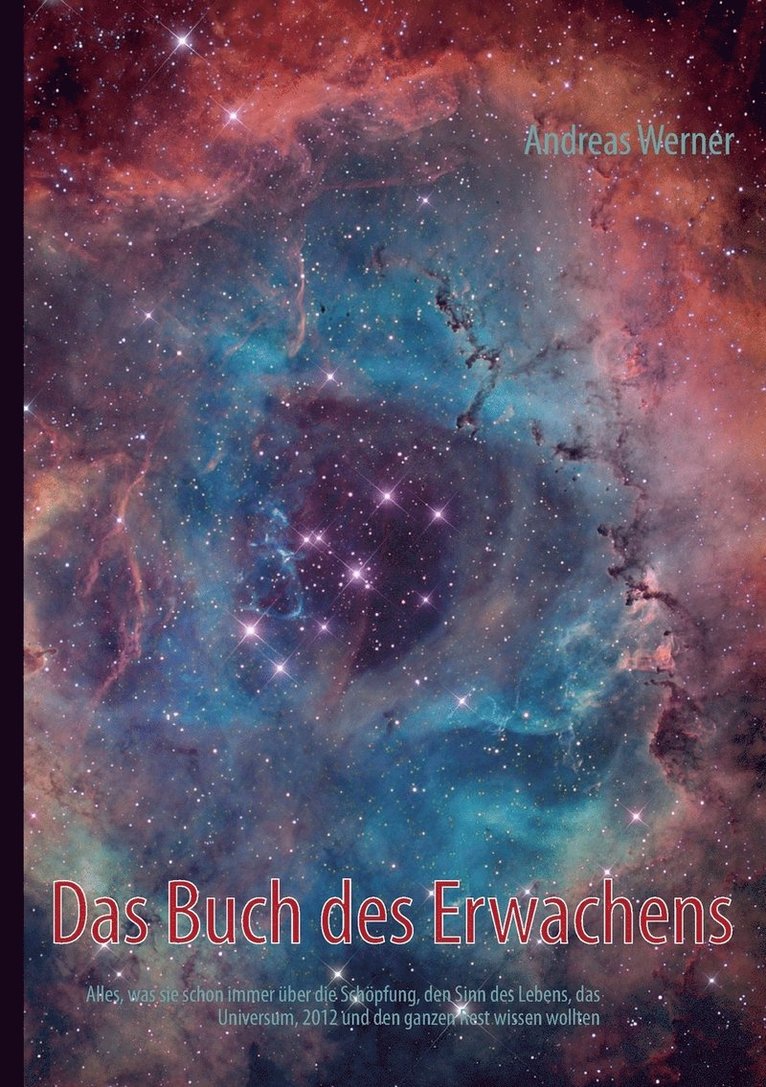 Andreas Werner - Buch des Erwachens, Häftad