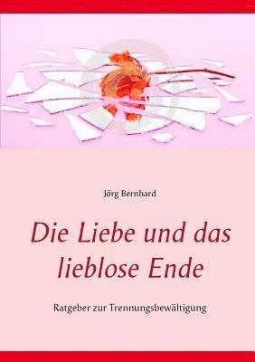 bokomslag Liebe und das lieblose Ende