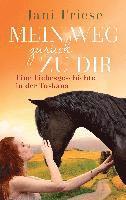bokomslag Mein Weg zurück zu dir