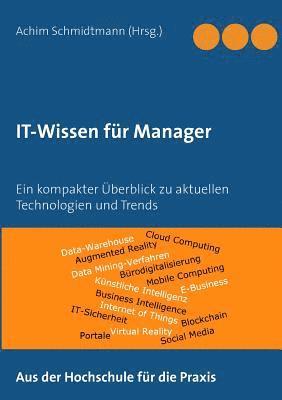 bokomslag IT-Wissen fr Manager