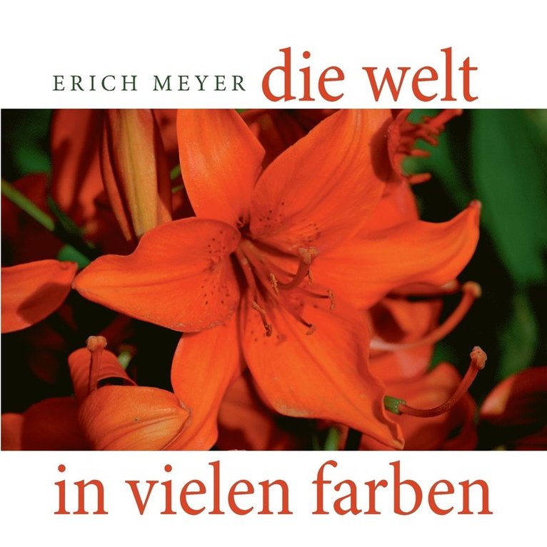 Welt in vielen Farben