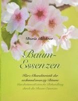 Doris Richter - Baum-Essenzen, Häftad