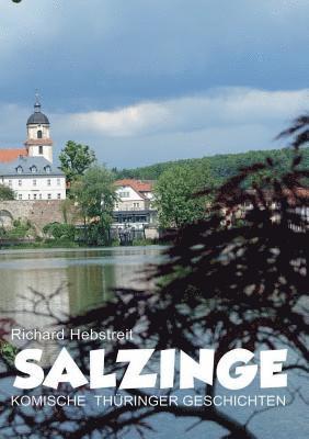 bokomslag Salzinge