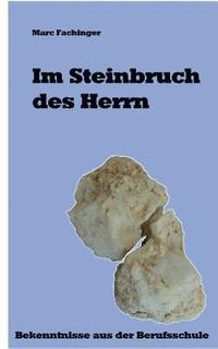 bokomslag Im Steinbruch des Herrn