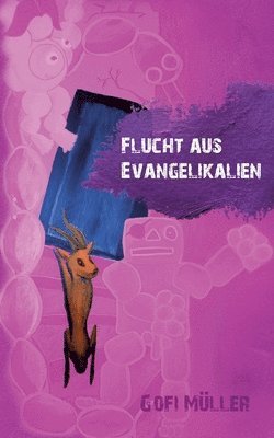 bokomslag Flucht aus Evangelikalien