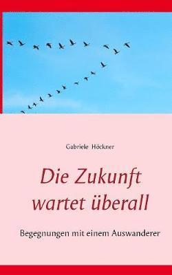 bokomslag Zukunft wartet überall