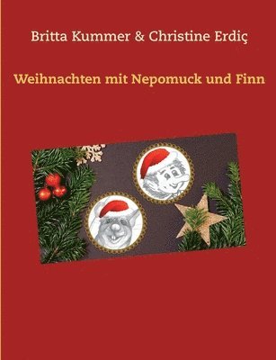 Weihnachten mit Nepomuck und Finn 1