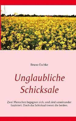 bokomslag Unglaubliche Schicksale